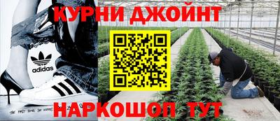 прущие крисы Жуковский
