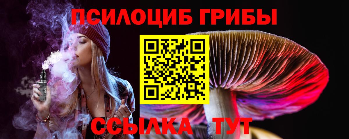 Галлюциногенные грибы Psilocybe  Вход с VPN  Псилоцибиновые грибы Cubensis  Лесосибирск 